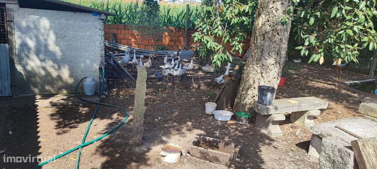 Moradia com 6 quartos, piscina e  Quinta envolvente em FEBRES-28