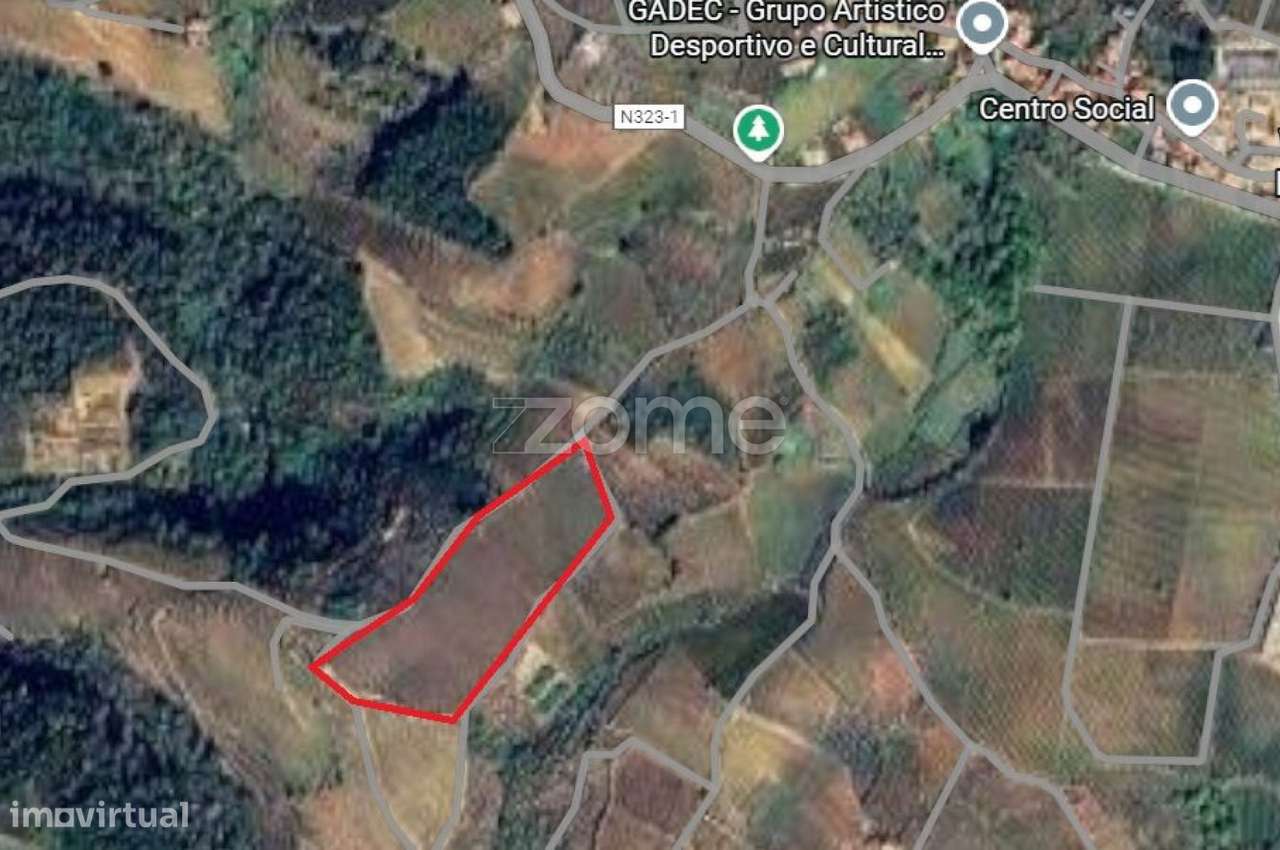 Terreno Agrícola – 22.800 m² – Vilar de Maçada, Alijó-14