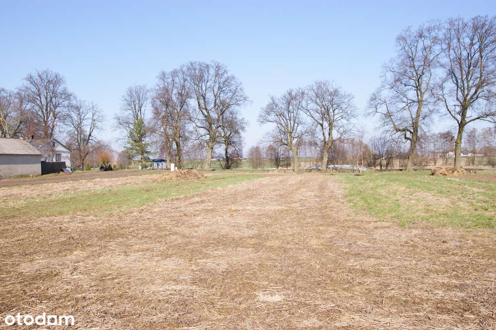 Działka budowlana Stoczek Kolonia 18ar lub więcej - Pełny obrazek: 5/9