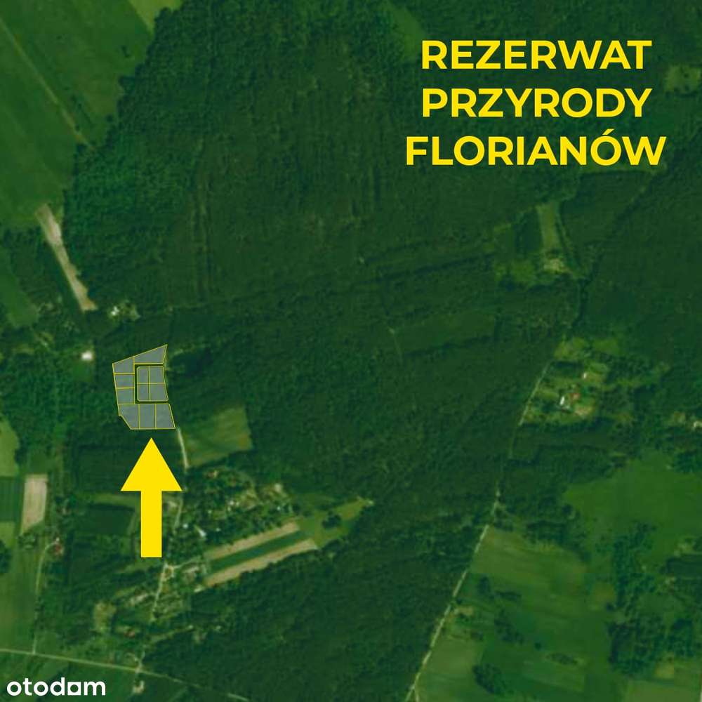 Działki budowlane – Twoja oaza spokoju, tylko godzina od Warszawy! - Pełny obrazek: 4/7