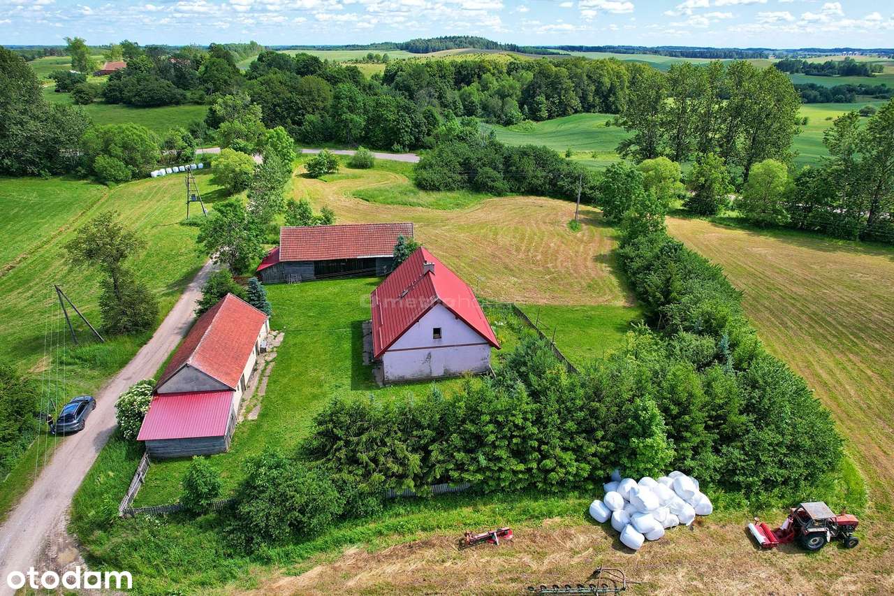 Dom z dużą działką i budynkami  Guzy, gm. Kowale - Pełny obrazek: 5/13