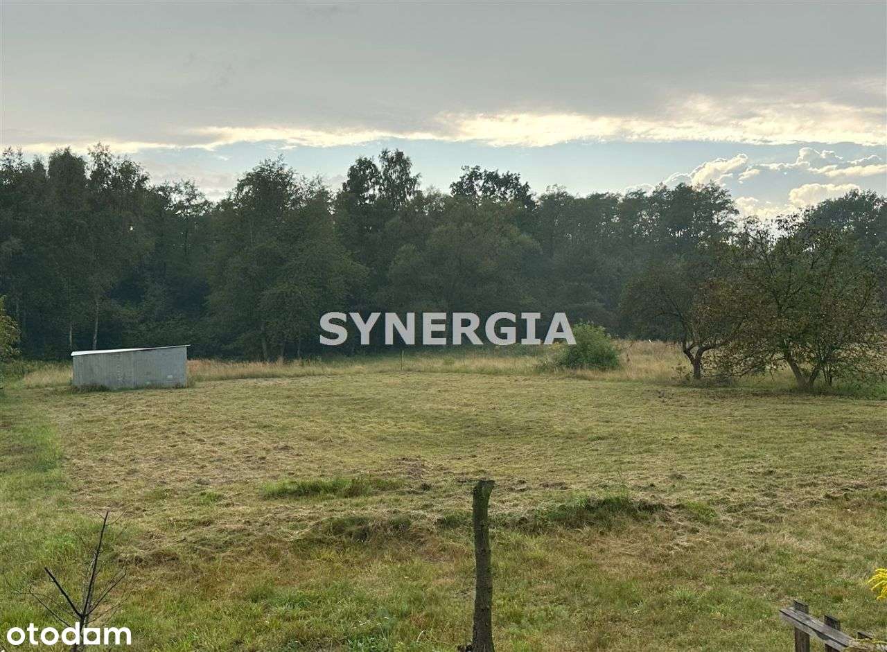 Działka budowlana blisko lasu, bez prowizji-4