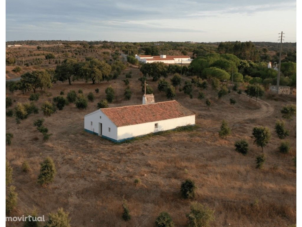 Monte Alentejano para recuperar na Serra Grândola