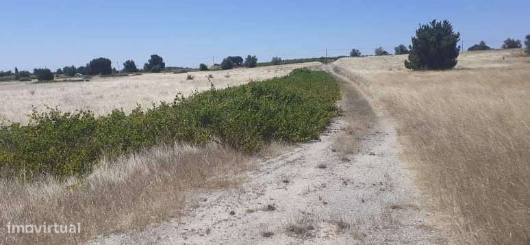 Palmela/ Areias Gordas Terreno 42000 m2. para construção de moradias . - Grande imagem: 4/5