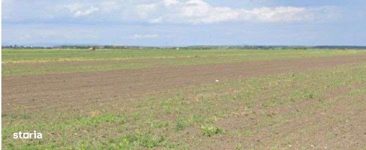 Teren extravilan Cocorastii Colt ; ID: R2710069 - Imagine principală: 3/10