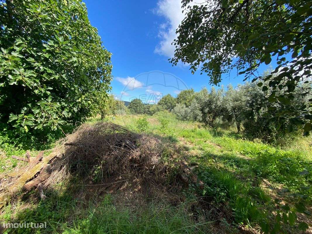 Terreno  para venda - Grande imagem: 5/10