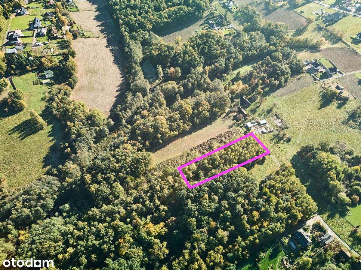 Działka rekreacyjna w cichej okolicy-0
