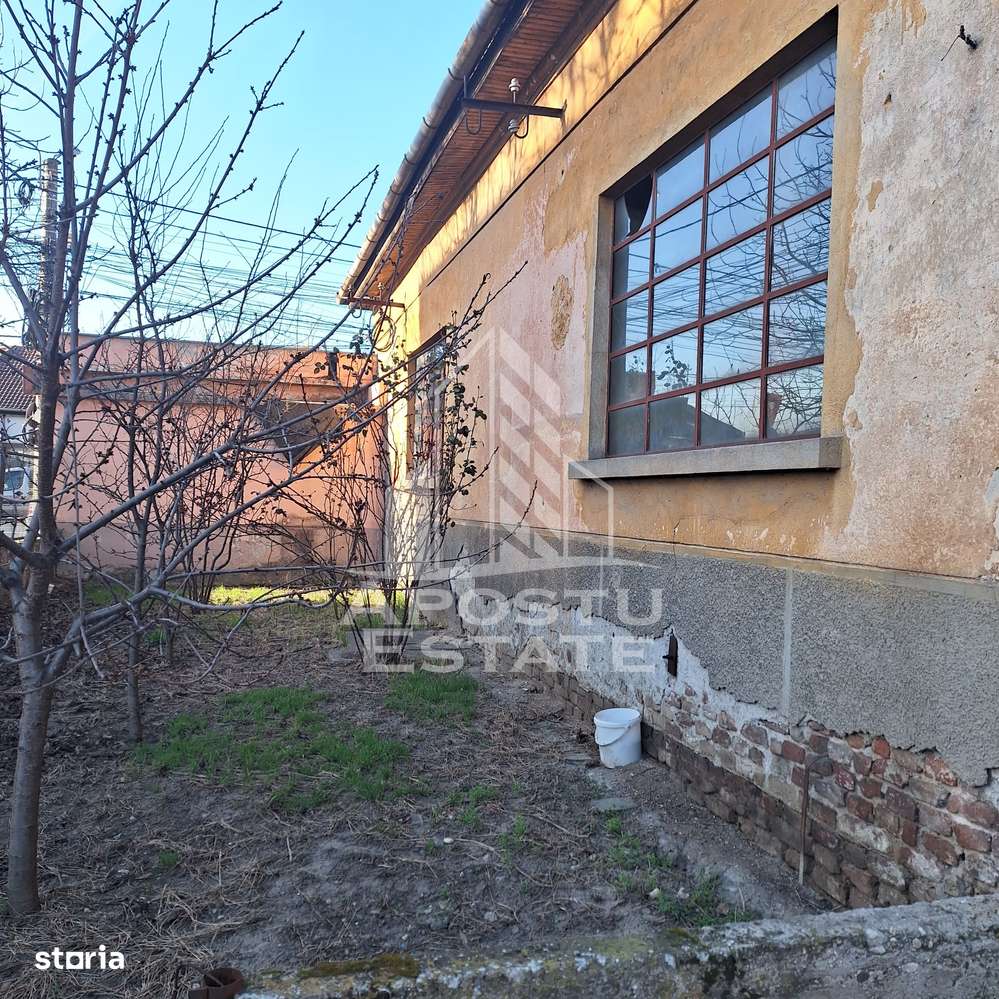 Casa individuala cu teren mare 843 mp,in zona Modern. - Imagine principală: 4/20