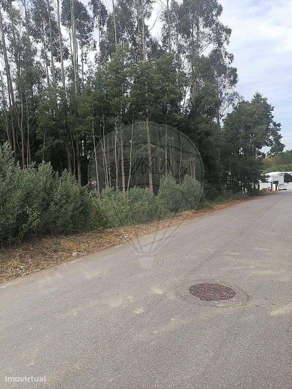 Terreno  para venda - Grande imagem: 4/5