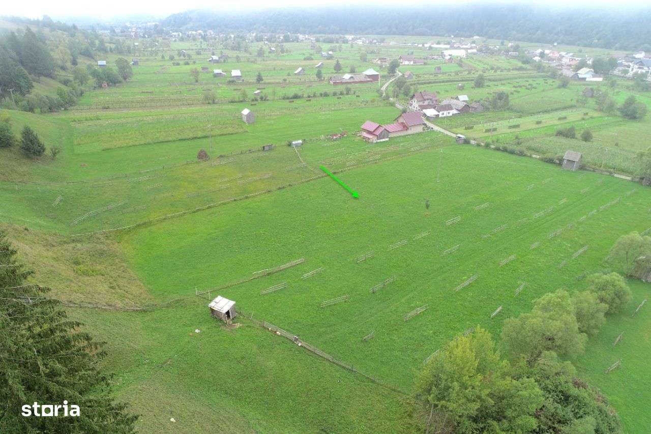 Teren frumos, zonă liniștită, 6721 mp intravilan/extravilan - Imagine principală: 5/8