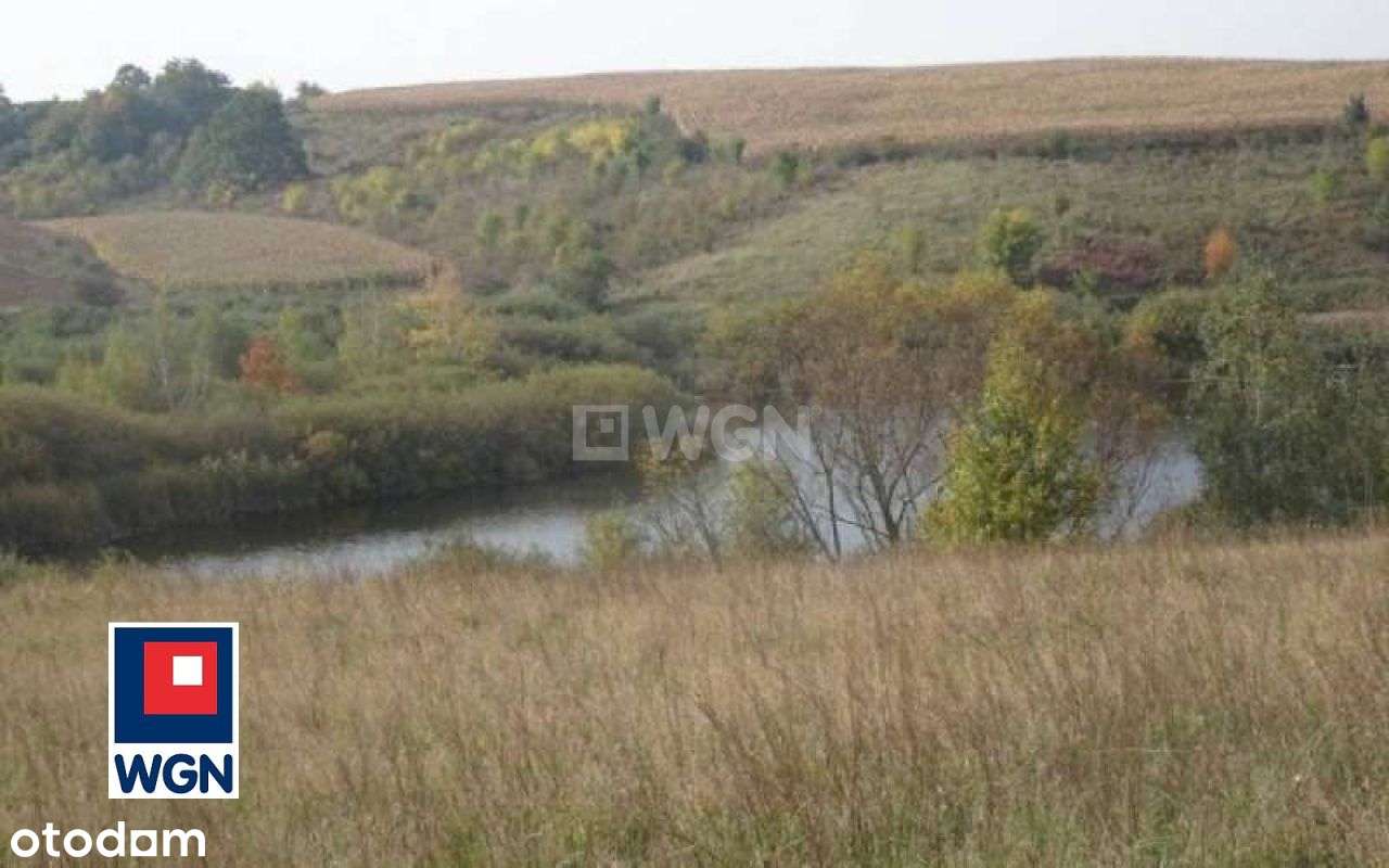 Działka Z Linią Brzegową Jeziora-11
