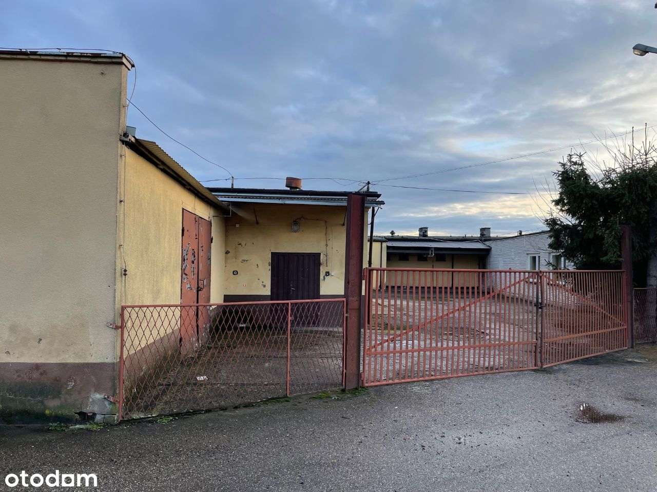 Powierzchnie użytkowe na wynajem - Pełny obrazek: 4/20