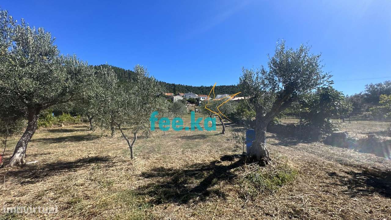 Quintinha em Monfortinho-11