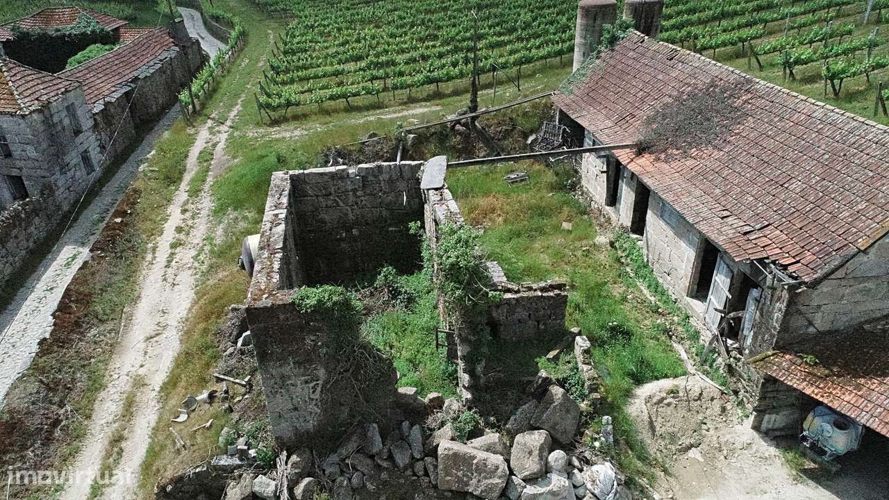 Quinta com Vinha em Valpedre – Penafiel-6