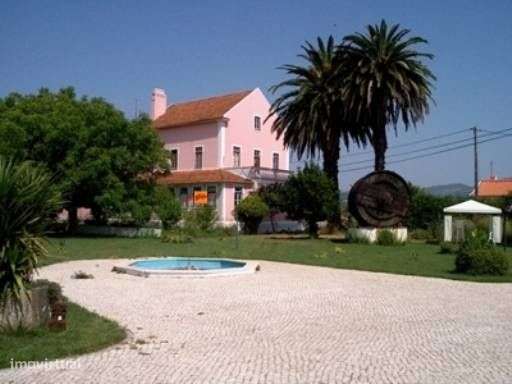 Quinta da Loureira - Urbanização e Turismo Rural-18