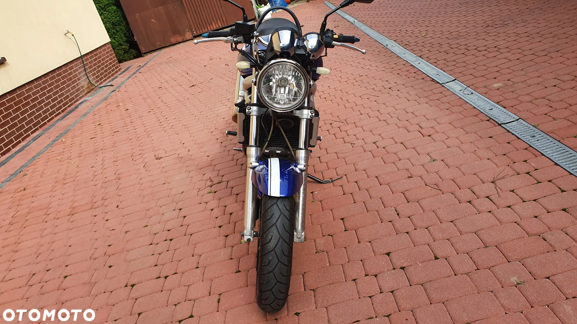 Suzuki SV - 16