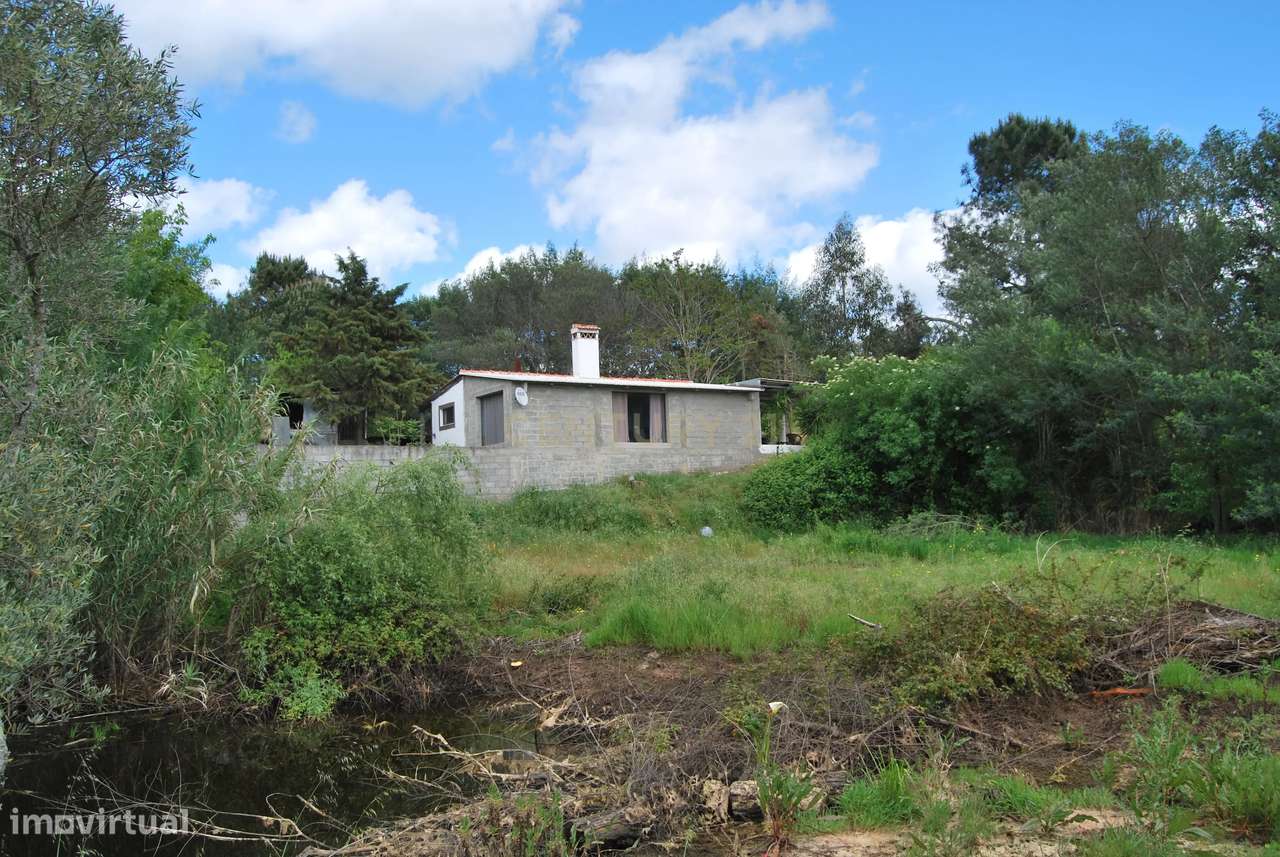 Terreno rústico 28200m2 em Vale do Junco, Chamusca, Golegã-8