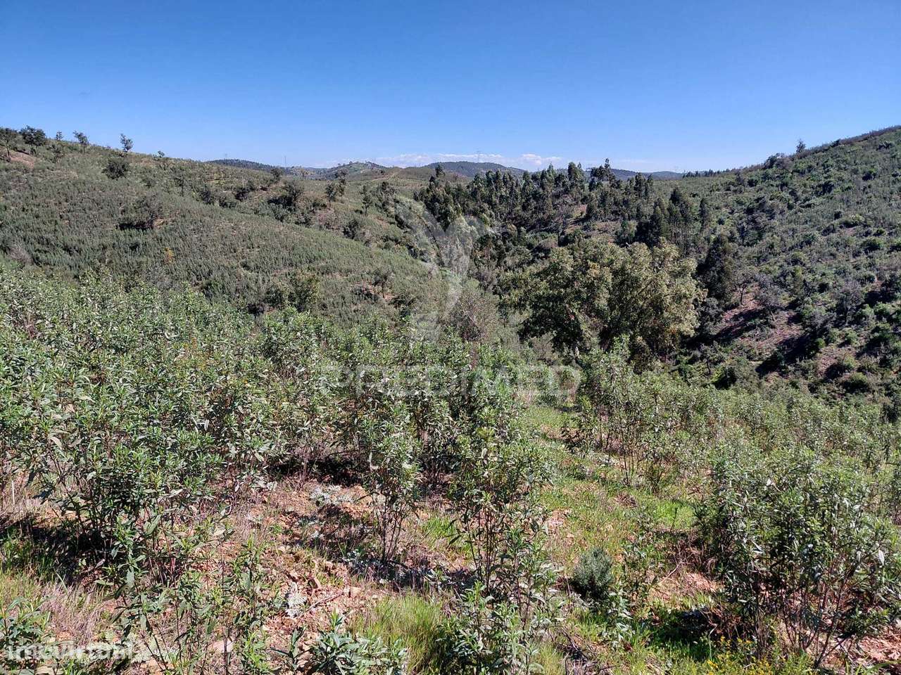 Terreno Rústico ,Sabóia,Odemira. - Grande imagem: 4/7