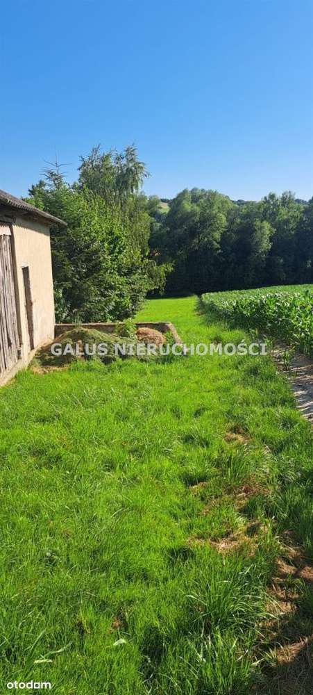 Działka rolna 2,5200 Ha i gospodarstwo-16