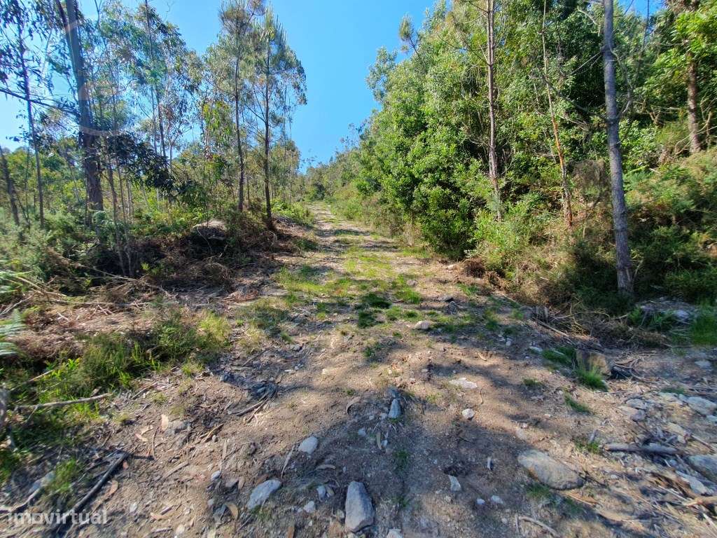 Terreno Construtivo em Vila Boa- Cabeceiras de Basto - Grande imagem: 5/10