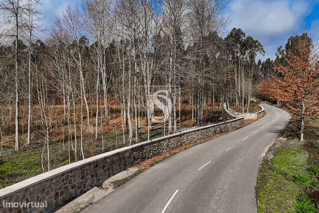 Terreno Rústico  Venda em Associação de freguesias do Vale do Neiva,Po-21