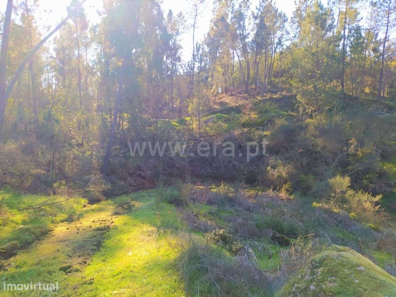 Terreno / Marco de Canaveses, Várzea, Aliviada e Folhada - Grande imagem: 4/10