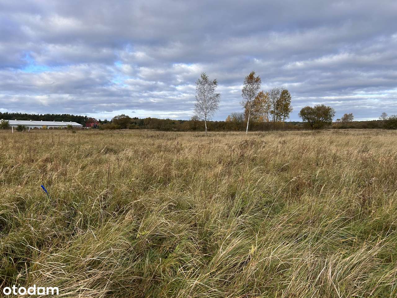 Działka budowlana z planem zagospodarowania-3