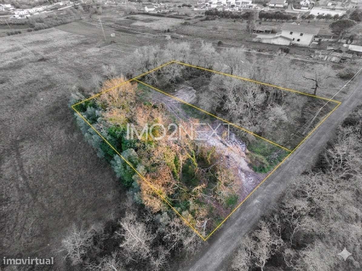 TERRENO RÚSTICO URBANIZÁVEL || ARNAL || MACEIRA || LEIRIA - Grande imagem: 5/7