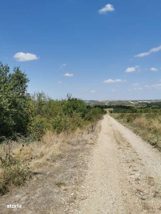 Teren intravilan de vanzare, 3.500 mp, cu front stradal de 21,5 ml - Imagine principală: 3/6