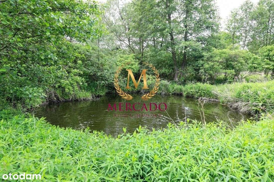 Działka z potencjałem – blisko Wisły - Pełny obrazek: 4/5