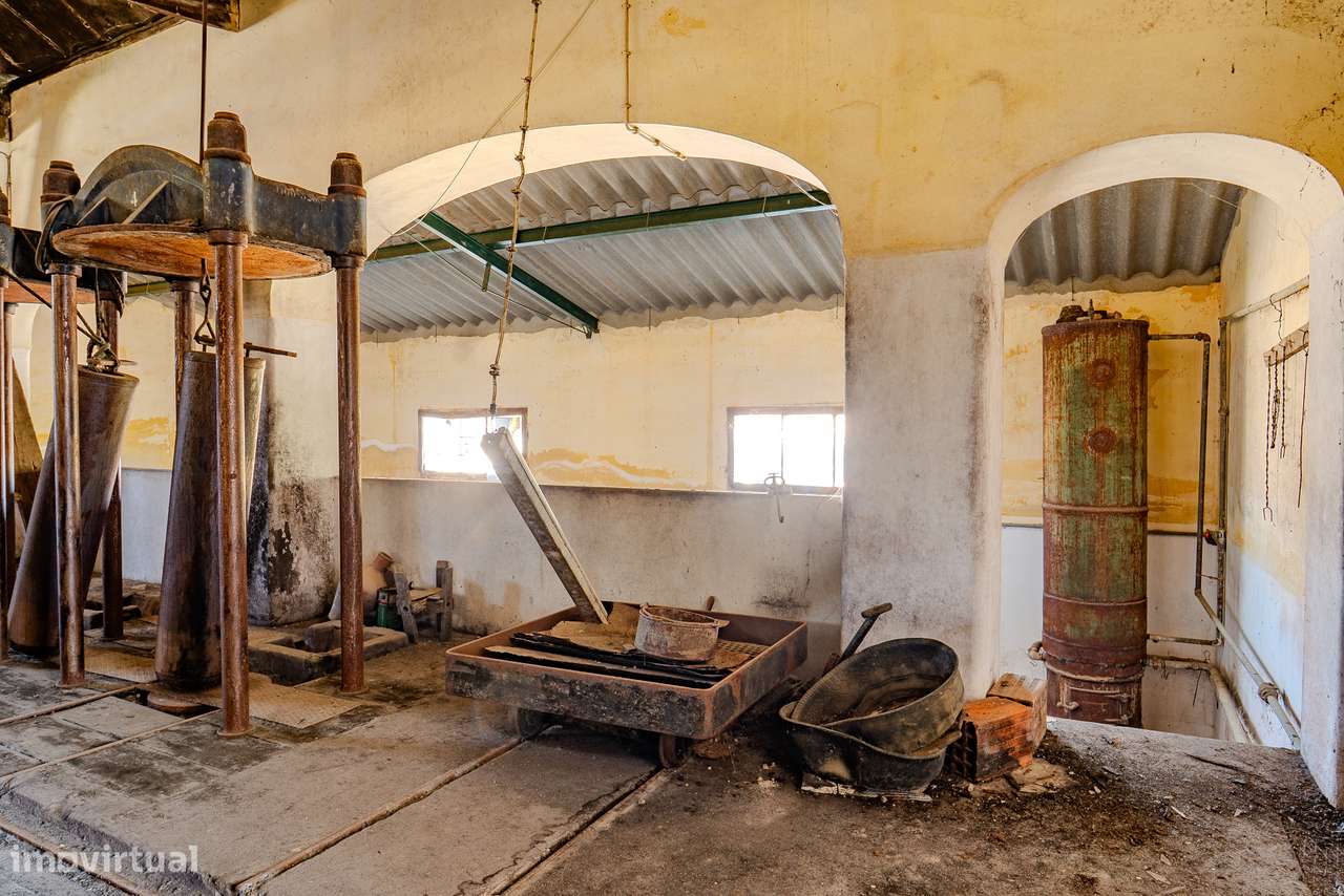 QUINTA 15 HA | VENDA | ÉVORA – ALENTEJO-16