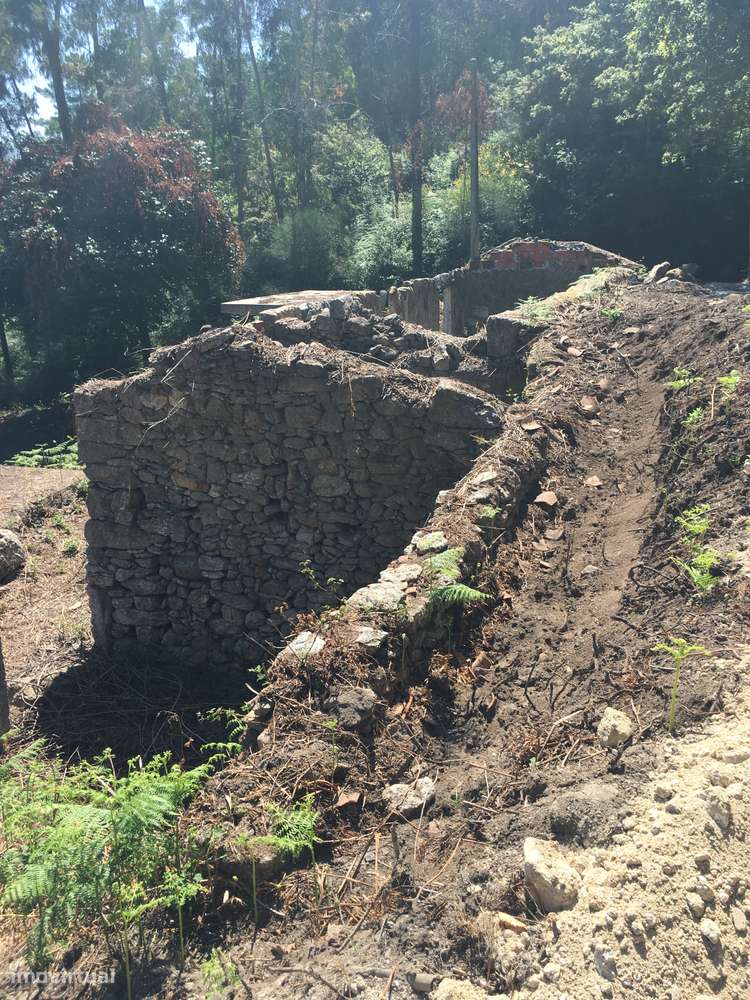 Terreno com Ruína para Reconstruir em Paraíso – Gondufe - Grande imagem: 5/9