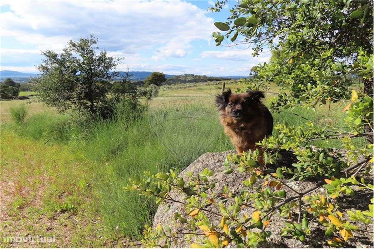 Quinta T0 para Venda - Grande imagem: 3/35