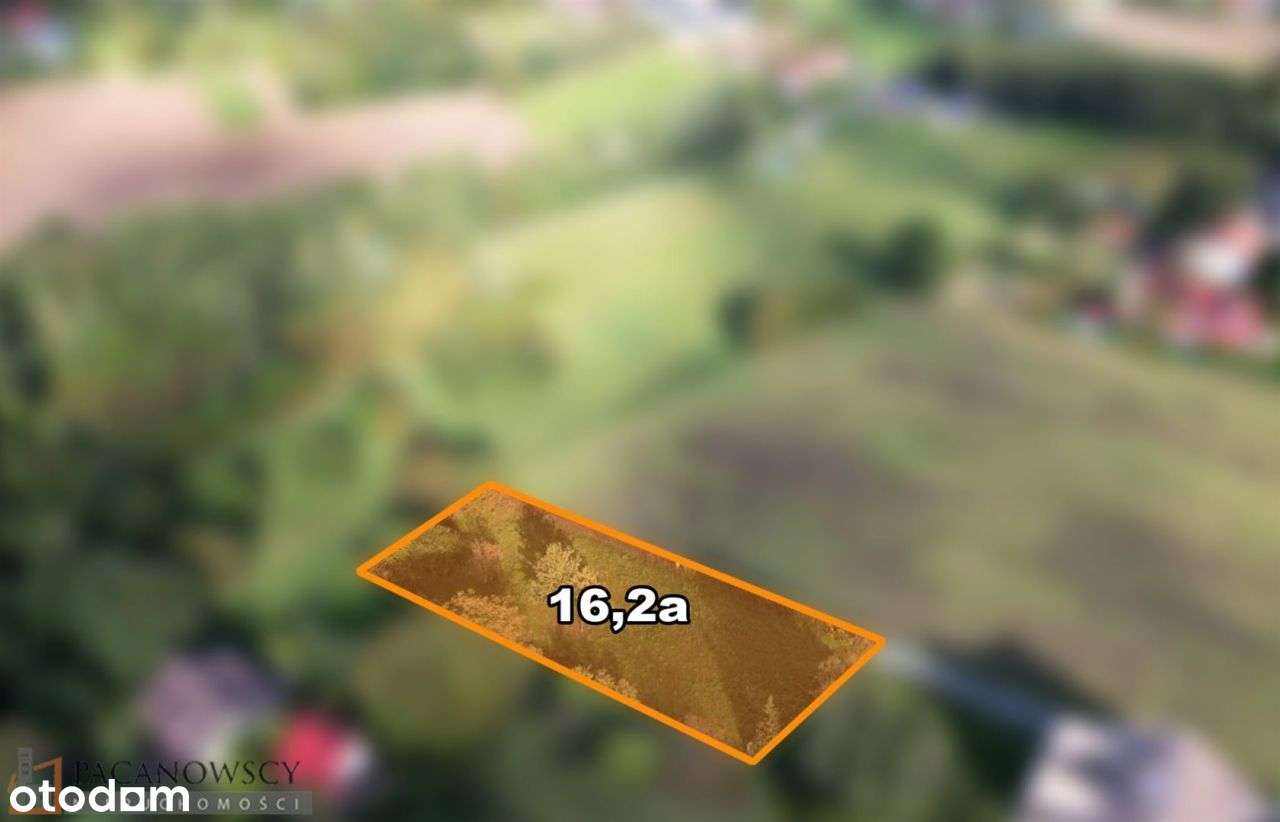 Działka, 1 620 m², Węgrzce - Pełny obrazek: 4/4