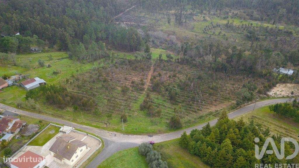 Terreno Agrícola em Soure de 12000,00 m2 - Grande imagem: 3/15