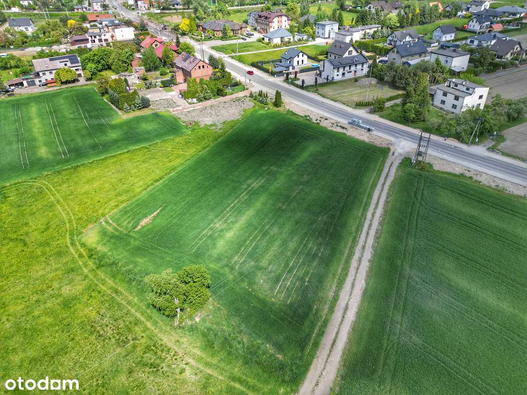 Pszczyńska, przy drodze i z mediami - Pełny obrazek: 5/8