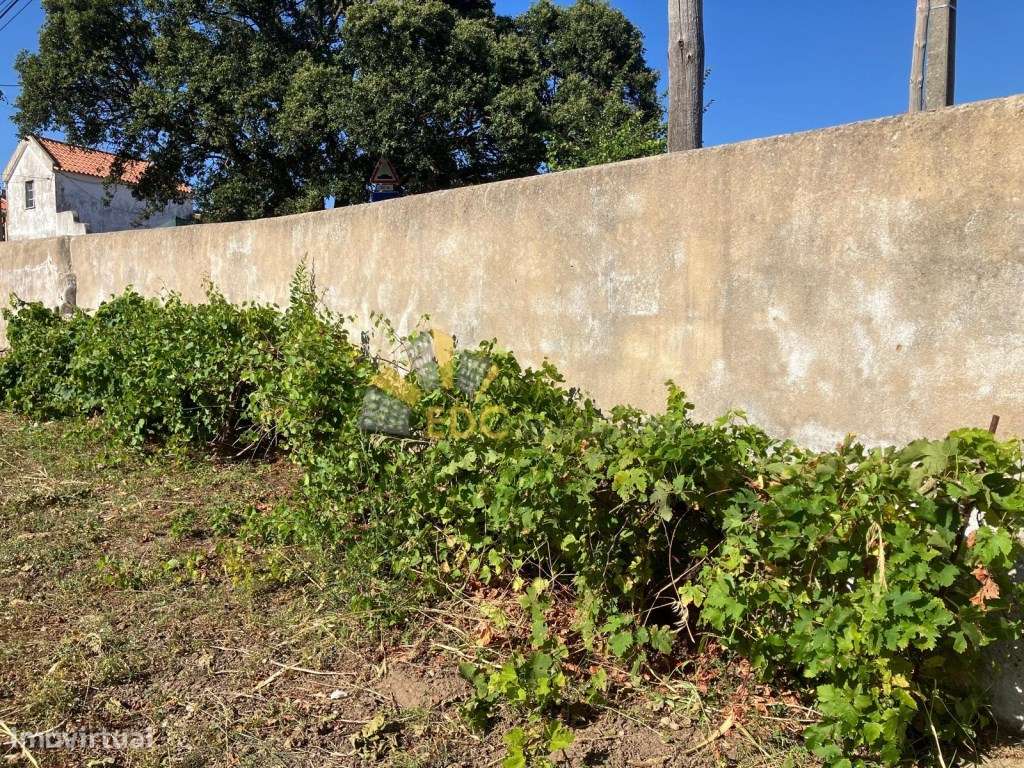 Moradia Térrea T2 + 1 Renovado | Manique de Cima ( Sintra) | Não pe...-24