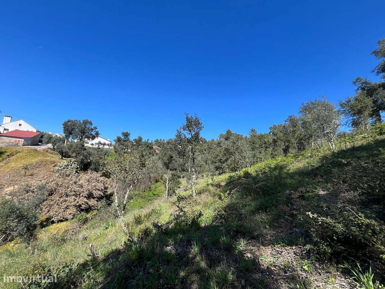 Moradia para Restaurar T3 Venda em Santiago de Montalegre,Sardoal-7