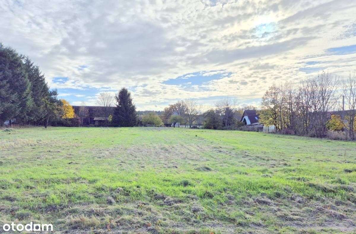 działka budowlana Garwół/Wołów - Pełny obrazek: 3/8