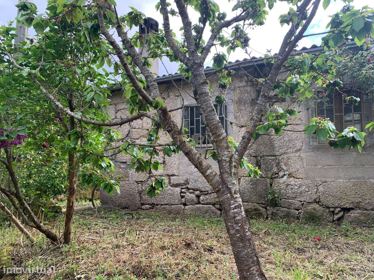 Moradias Urbanas para reconstruir e Terreno Rústico - Junto ao Bar Per - Grande imagem: 3/14