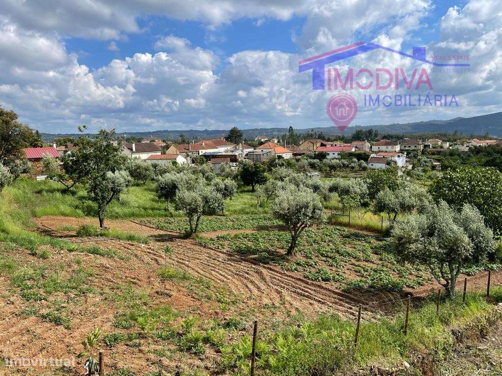 Terreno com 5780m2, poço de água e ruina, localizado em Graça - Ped... - Grande imagem: 2/31