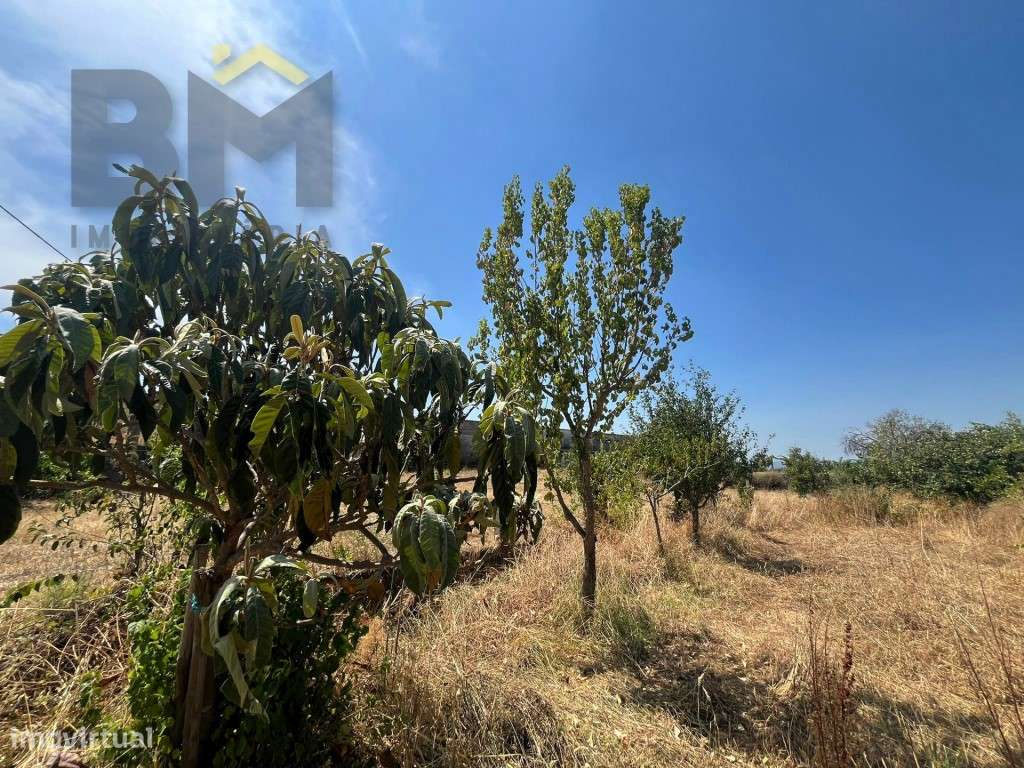 Terreno rústico com 560m2, para venda, em Salgueiro do Campo. - Grande imagem: 4/9