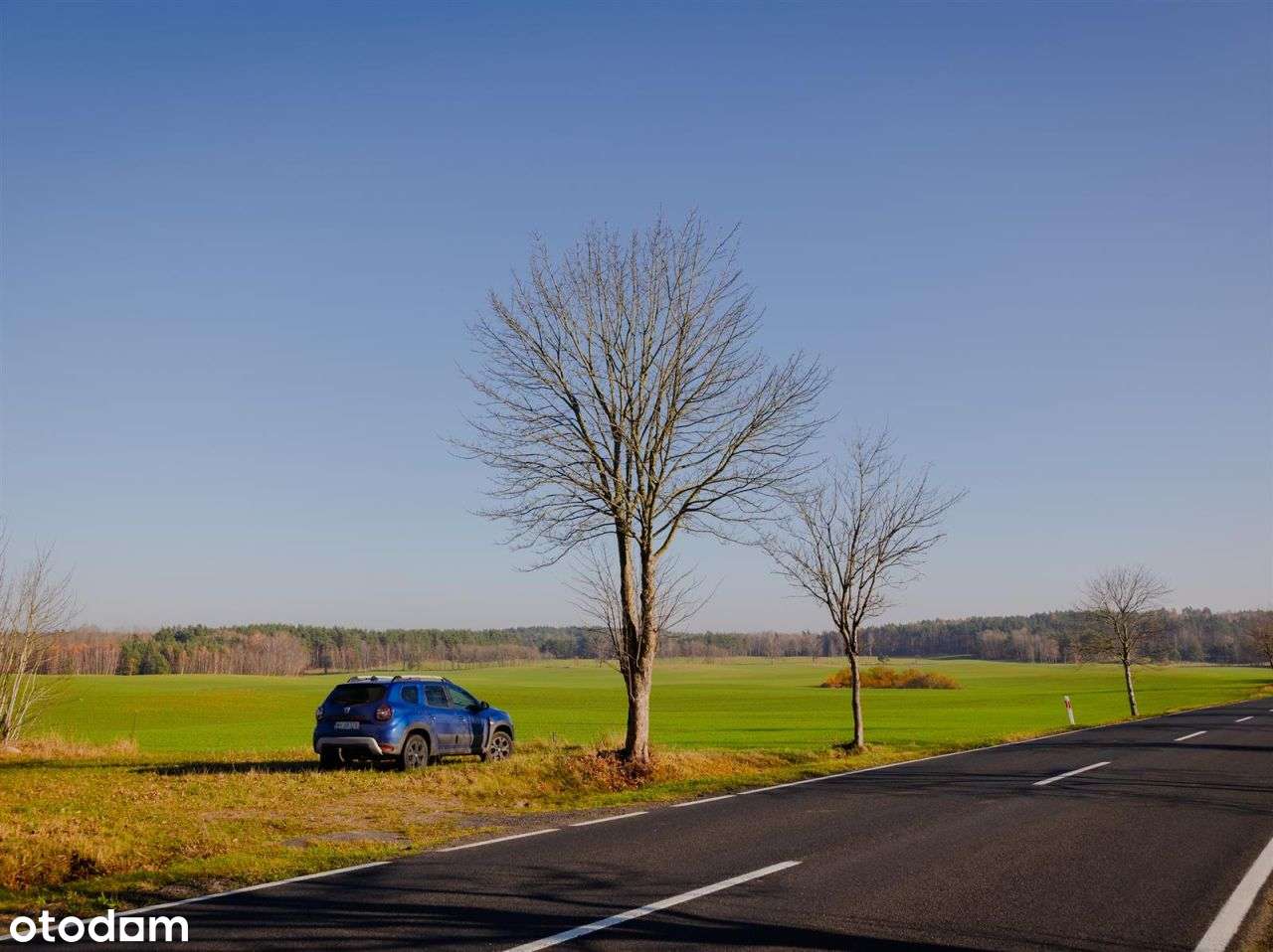 Działka siedliskowa - Krągi-7