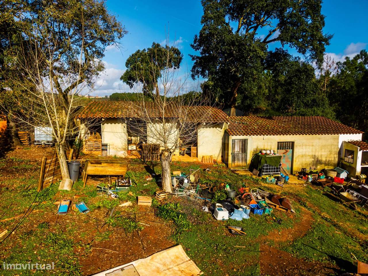 Moradia em ruínas num terreno de 10.699m2-8