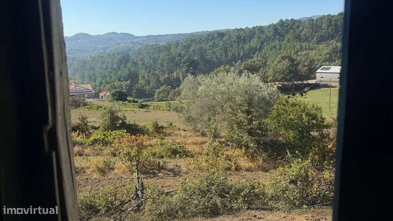 Quinta de 12.200m2 com Potencial Ilimitado, em Lordelo - Vila Real-8