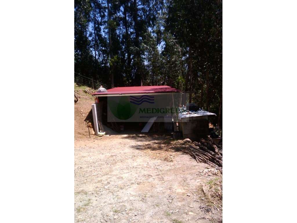 TERRENO COM VIABILIDADE DE CONSTRUÇÃO EM SEVER DO VOUGA - Grande imagem: 5/5