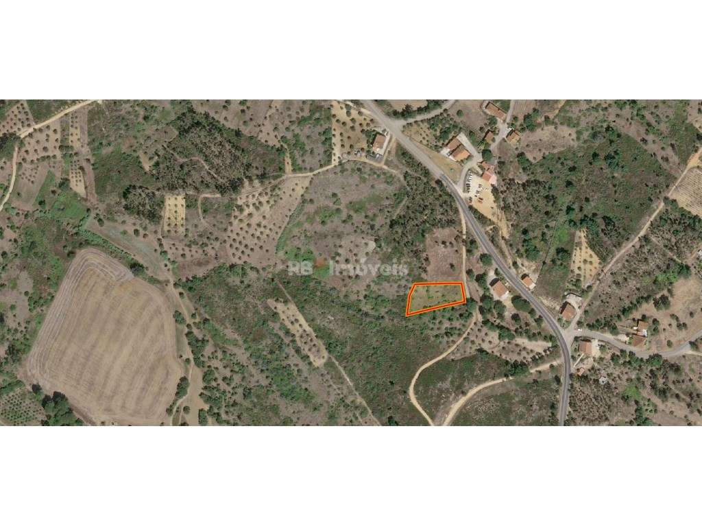 Terreno rústico com 1320m2 - Agroal, Tomar - Grande imagem: 5/5