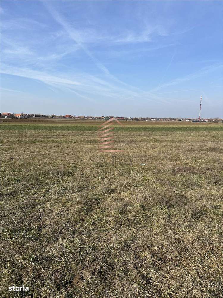 Teren intravilan Girisu De Cris-1