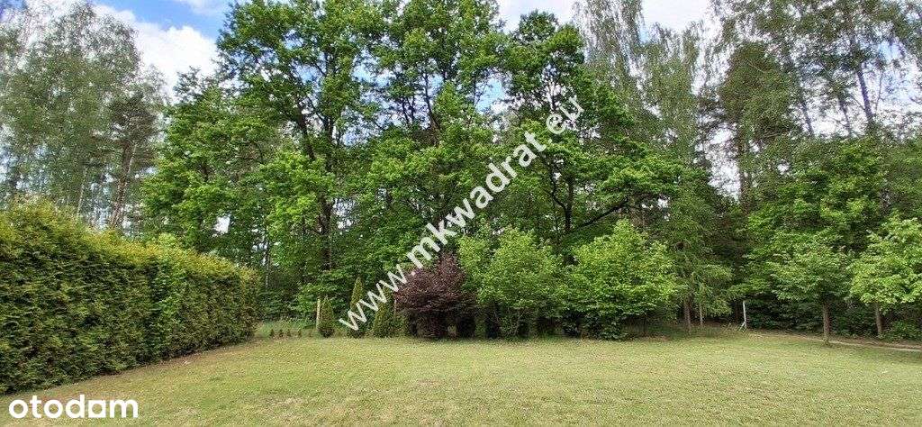 Nowa cena! OkazjaDom 306 m² z dużą działką 3143 m²-16