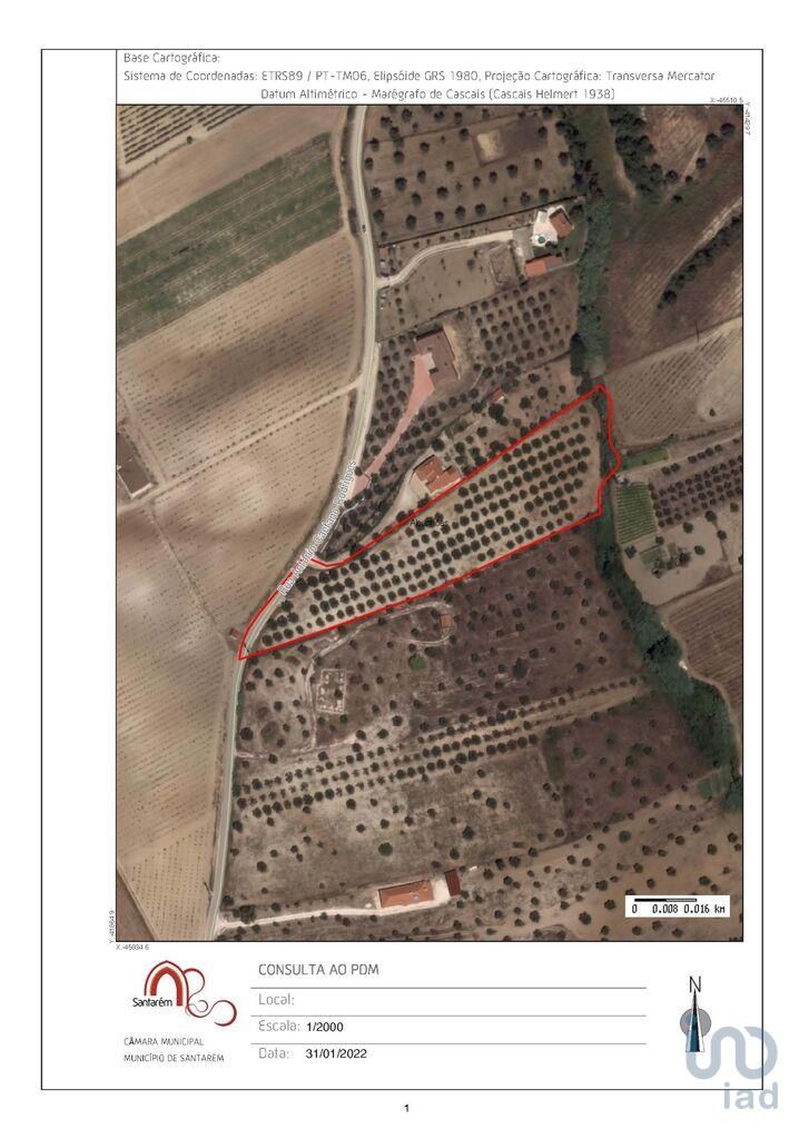 Terreno Agrícola em Santarém